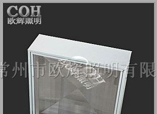 MZH2206高效节能油站灯_安徽节能吸顶灯
