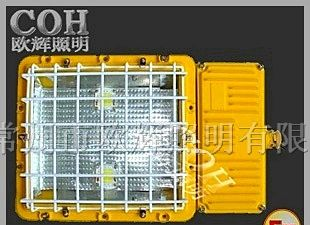 BFC8189 LED隔爆型泛光灯_LED防爆泛光灯