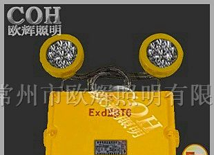 BFC8185 _LED双头防爆应急灯,LED应急照明灯