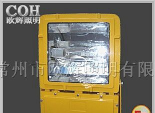 BFC8110 LED防爆泛光灯_江苏防爆泛光灯