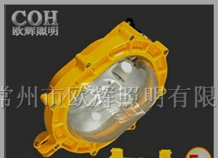 BFE8120 LED内场防爆应急灯,内场防爆应急泛光灯