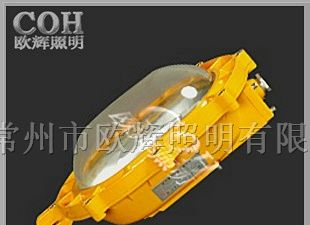 BFC8920 LED防爆泛光灯，防爆金卤灯，防爆照明灯