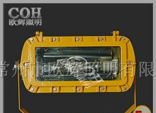 BFC8110 LED防爆泛光灯,防爆金卤灯，防爆泛光灯，