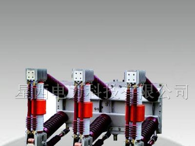 供应ZN12-12 ZN12-40.5户内高压真空断路器