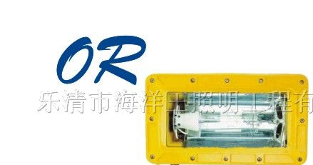 供应乐清BFC8100厂家供应防爆强光泛光灯