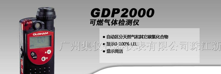 供应奥德姆GDP2000可燃气体检测仪