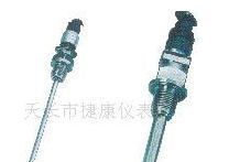 厂家供应简易铠装铂电阻PT100 WZPK-403