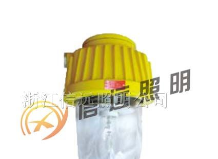 供应防爆平台灯 BPC8730