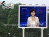 LED显示屏方案，天津LED电子显示屏