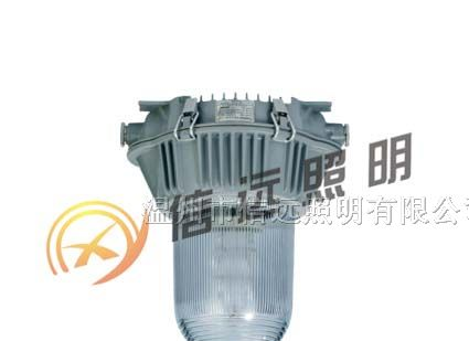 供应XY-NFC9180防眩泛光灯