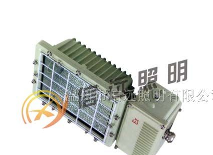 供应XY-BTC6131 厂用防爆泛光灯(路灯)