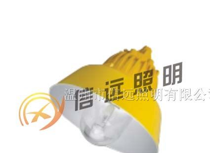 供应防爆平台灯 BPC8700