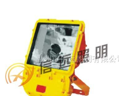 供应防爆泛光灯 BFC8110