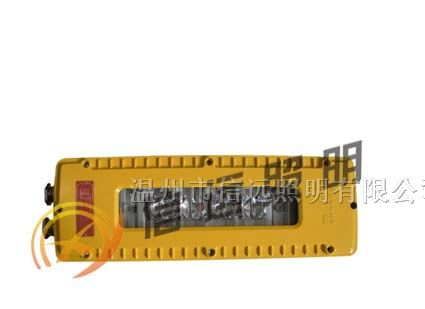 供应XY-DGS10/127L   矿用隔爆型白炽灯(LED巷道灯)