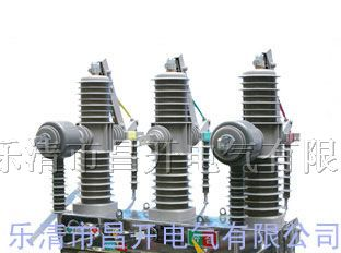 供应ZW32-24户外高压真空断路器电气