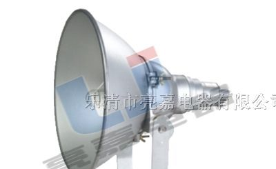 防震投光灯NTC9210 220V IP65