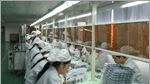 实拍台湾原装三协FP-108A散热风扇交流8038