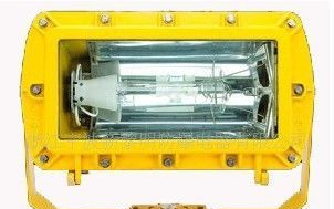 宁波新黎明防爆公司DGS70/127B(C)矿用隔