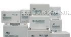 供应BT-MSE-100赛特蓄电池