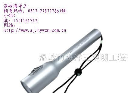 供应JW7210  温岭海洋王 节能强光防爆电筒
