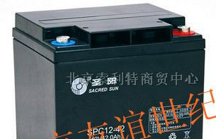 供应集安 白山 临江 延吉 图们圣阳蓄电池