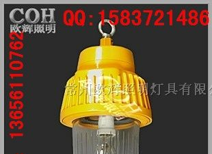 供应BPC8730防爆平台灯 防爆平台灯、防爆道路灯