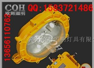 供应BFC8120内场防爆泛光灯 BC9110内场强光防爆灯