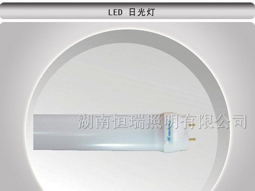 供应LED日光灯 T10