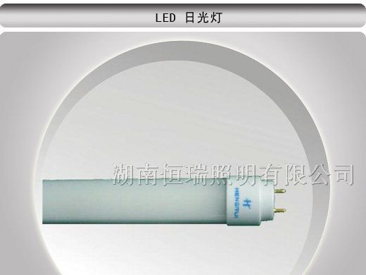 供应LED日光灯 T8