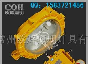 供应防爆照明厂家 内场防爆泛光灯 BFC8120图