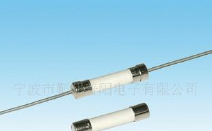 陶瓷保险丝1A/250V