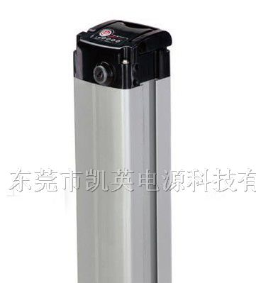 供应48V10A锂电动车电池