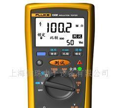 FLUKE1508绝缘电阻测试仪