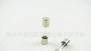 250V 1A  5*20保险管