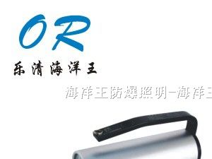 海洋王RJW7101/LT手提式防爆探照灯