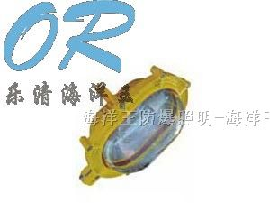 供应乐清海洋王BFE8120内场防爆应急灯
