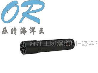 供应乐清海洋王JW7300微型防爆电筒