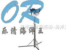 供应乐清海洋王SFW6110(A型)全方位自动泛光工作灯