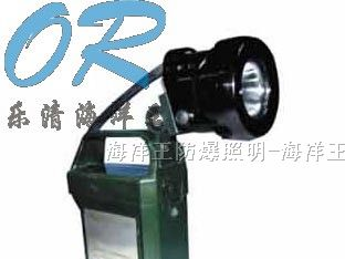 供应乐清海洋王IW5120便携式免维护强光防爆工作灯