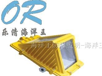 海洋王  DGS70/127B(C)  矿用隔爆型巷道灯