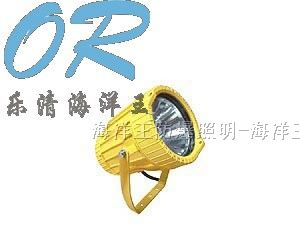 供应海洋王  DGS70/127B(A)  矿用隔爆型投光灯