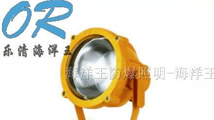 供应海洋王  BTC8200  /BTC8200A  防爆投光灯