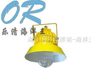 海洋王灯具 BPC8710  防爆平台灯