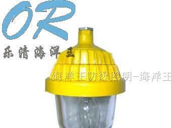 供应海洋王 防爆平台灯 BPC8720