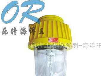 供应海洋王  BPC8730  防爆平台灯  BPC8720