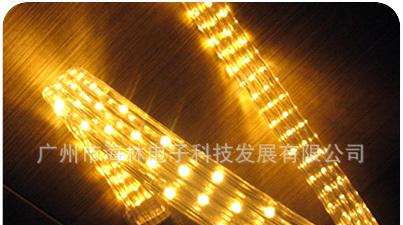 LED灯带 圆二线 生产厂家直销