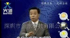 大功率LED灯珠光源