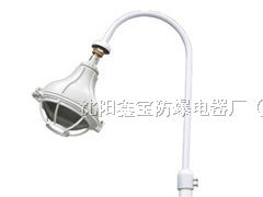 供应BAP52/BCP防爆平台灯，BAP52/BCP