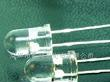 5mm白灯led