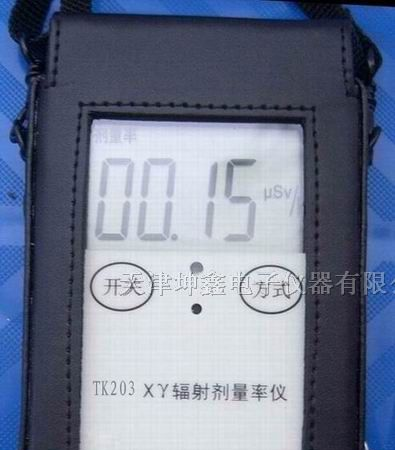 供应TK203辐射检测仪/巡测仪
